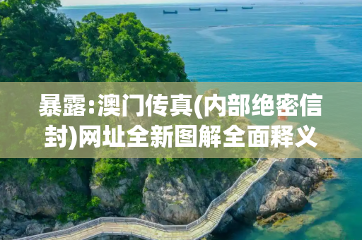 暴露:澳门传真(内部绝密信封)网址全新图解全面释义、解释与落实