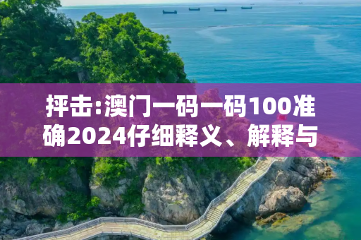 抨击:澳门一码一码100准确2024仔细释义、解释与落实