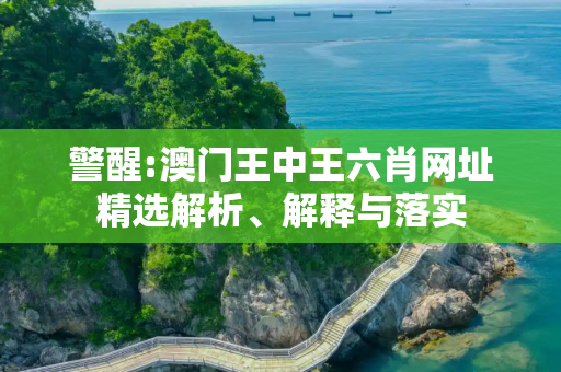 警醒:澳门王中王六肖网址精选解析、解释与落实