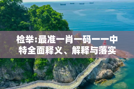 检举:最准一肖一码一一中特全面释义、解释与落实