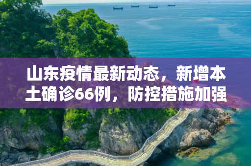 山东疫情最新动态，新增本土确诊66例，防控措施加强,山东新增本土确诊66例
