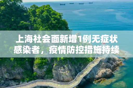 上海社会面新增1例无症状感染者，疫情防控措施持续加强,上海社会面新增1例无症状