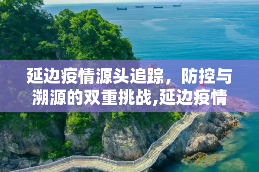 延边疫情源头追踪，防控与溯源的双重挑战,延边疫情源头