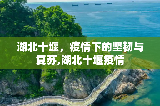 湖北十堰，疫情下的坚韧与复苏,湖北十堰疫情