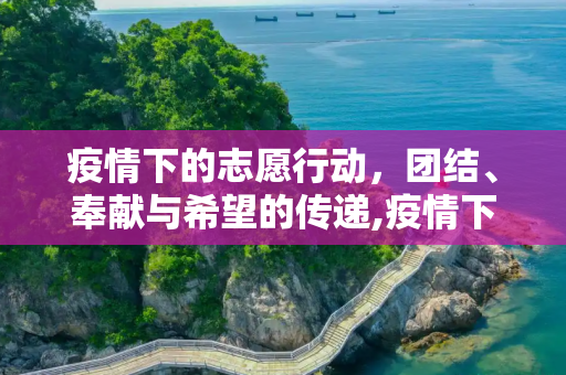 疫情下的志愿行动，团结、奉献与希望的传递,疫情下的志愿行动