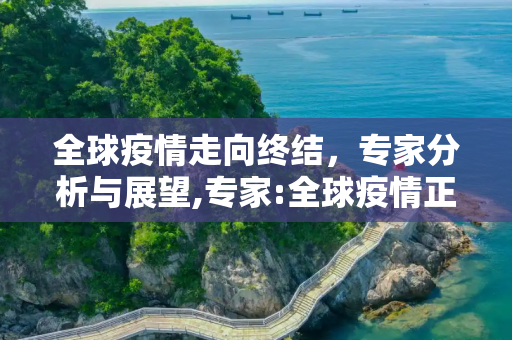 全球疫情走向终结，专家分析与展望,专家:全球疫情正在走向终结