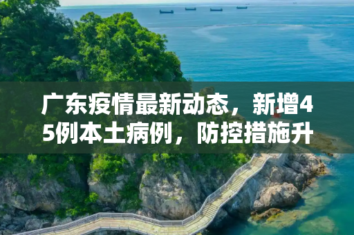 广东疫情最新动态，新增45例本土病例，防控措施升级,广东新增45例本土