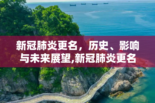 新冠肺炎更名，历史、影响与未来展望,新冠肺炎更名