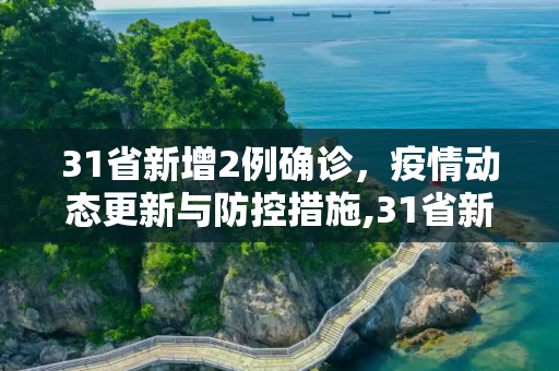 31省新增2例确诊，疫情动态更新与防控措施,31省新增2例确诊