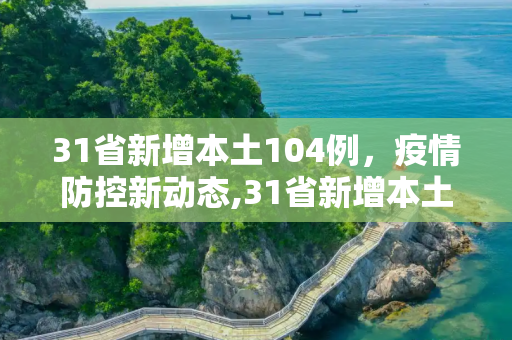 31省新增本土104例，疫情防控新动态,31省新增本土104例
