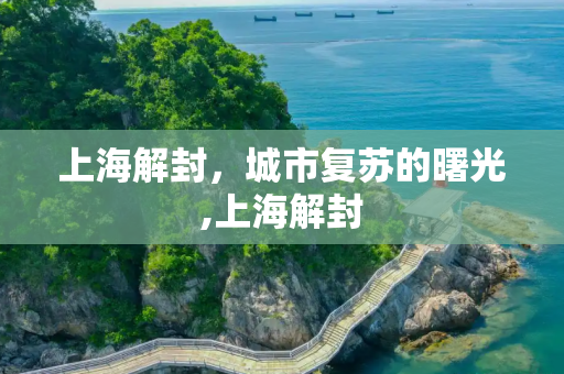 上海解封，城市复苏的曙光,上海解封
