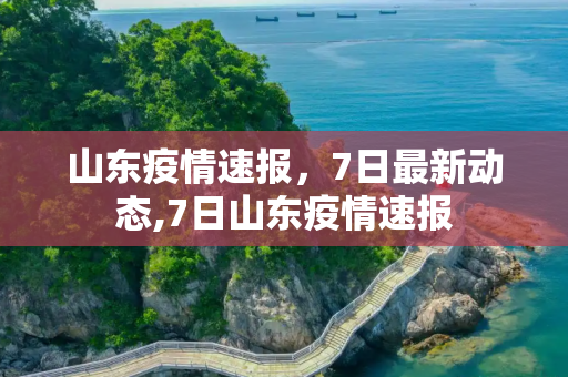 山东疫情速报，7日最新动态,7日山东疫情速报