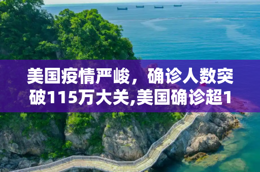 美国疫情严峻，确诊人数突破115万大关,美国确诊超115万