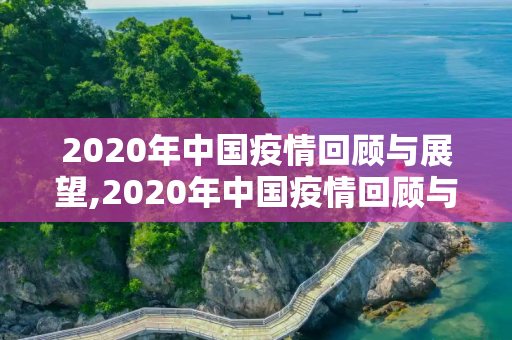 2020年中国疫情回顾与展望,2020年中国疫情回顾与展望