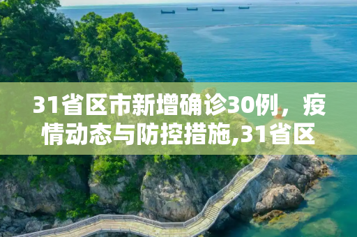 31省区市新增确诊30例，疫情动态与防控措施,31省区市新增确诊30例