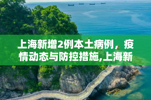 上海新增2例本土病例，疫情动态与防控措施,上海新增2例本土病例