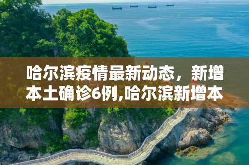 哈尔滨疫情最新动态，新增本土确诊6例,哈尔滨新增本土确诊6例