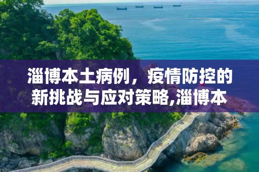 淄博本土病例，疫情防控的新挑战与应对策略,淄博本土病例