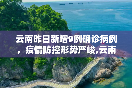 云南昨日新增9例确诊病例，疫情防控形势严峻,云南昨日新增确诊病例9例