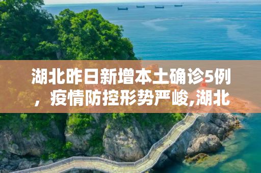 湖北昨日新增本土确诊5例，疫情防控形势严峻,湖北昨日新增本土确诊5例