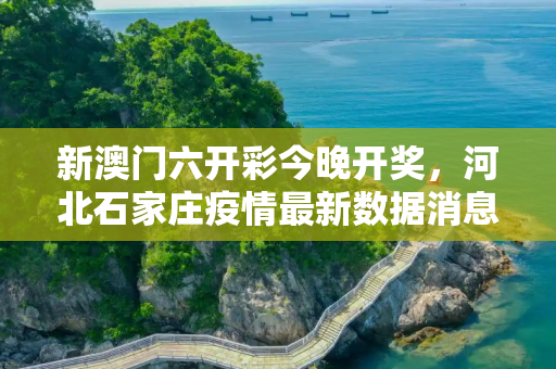 新澳门六开彩今晚开奖，河北石家庄疫情最新数据消息