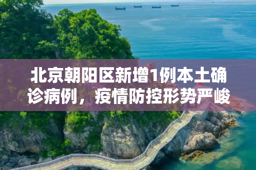 北京朝阳区新增1例本土确诊病例，疫情防控形势严峻,北京朝阳区新增1例本土确诊