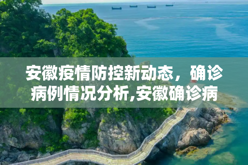 安徽疫情防控新动态，确诊病例情况分析,安徽确诊病例