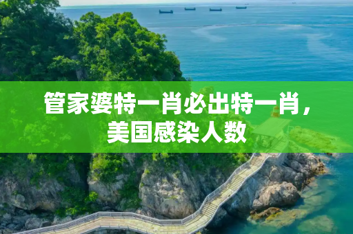 管家婆特一肖必出特一肖，美国感染人数