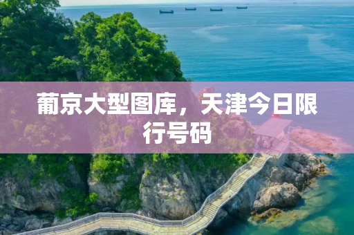 葡京大型图库，天津今日限行号码