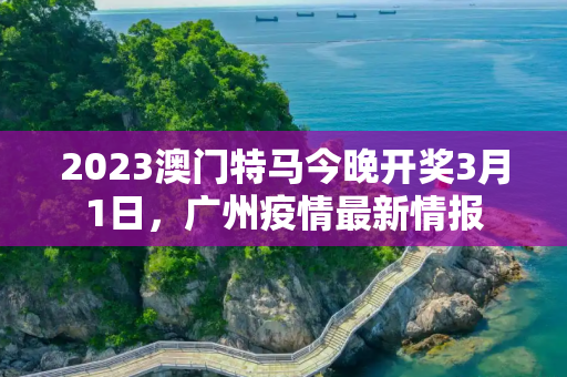 2023澳门特马今晚开奖3月1日，广州疫情最新情报