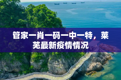 管家一肖一码一中一特，莱芜最新疫情情况
