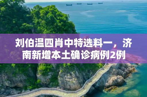 刘伯温四肖中特选料一，济南新增本土确诊病例2例