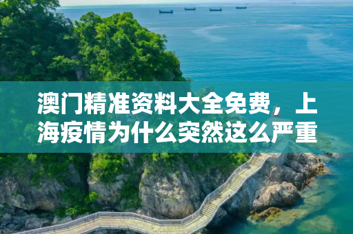澳门精准资料大全免费，上海疫情为什么突然这么严重