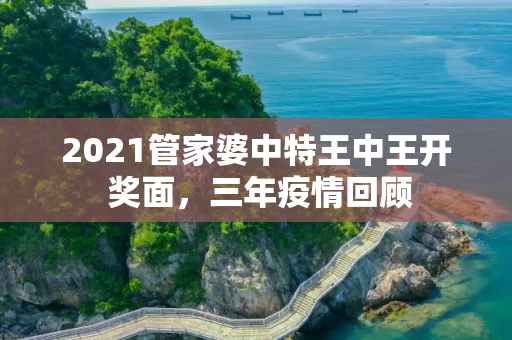 2021管家婆中特王中王开 奖面，三年疫情回顾