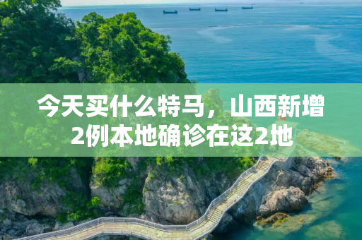 今天买什么特马，山西新增2例本地确诊在这2地
