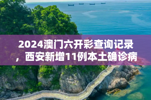 2024澳门六开彩查询记录，西安新增11例本土确诊病例