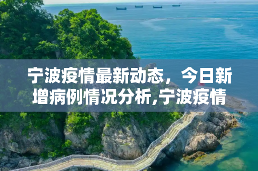 宁波疫情最新动态，今日新增病例情况分析,宁波疫情最新消息今天新增