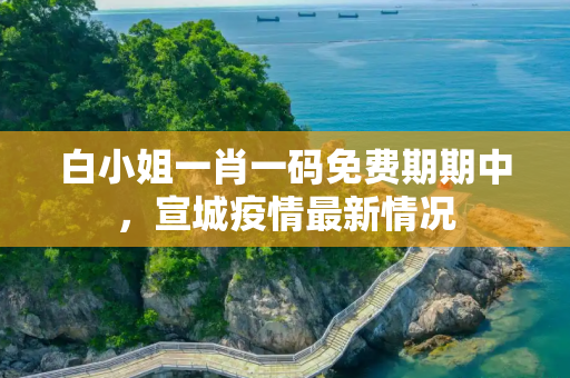 白小姐一肖一码免费期期中，宣城疫情最新情况