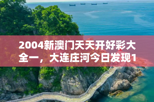 2004新澳门天天开好彩大全一，大连庄河今日发现1例疑似阳性病例