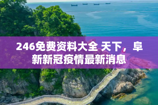 246免费资料大全 天下，阜新新冠疫情最新消息