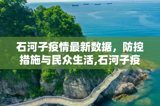 石河子疫情最新数据，防控措施与民众生活,石河子疫情最新数据
