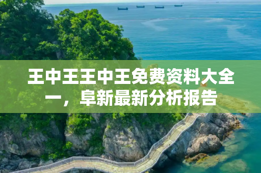 王中王王中王免费资料大全一，阜新最新分析报告