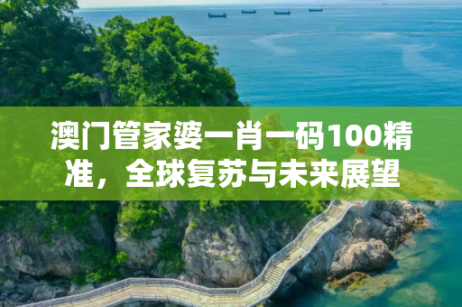 澳门管家婆一肖一码100精准，全球复苏与未来展望