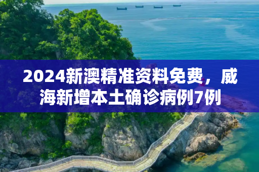 2024新澳精准资料免费，威海新增本土确诊病例7例
