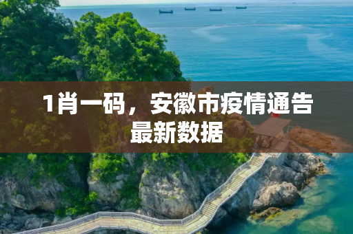 1肖一码，安徽市疫情通告最新数据