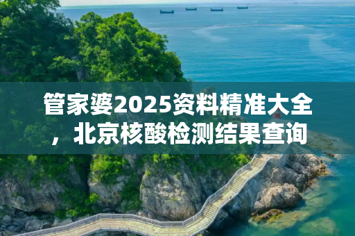 管家婆2025资料精准大全，北京核酸检测结果查询