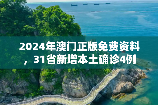 2024年澳门正版免费资料，31省新增本土确诊4例