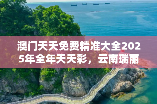 澳门天天免费精准大全2025年全年天天彩，云南瑞丽封城