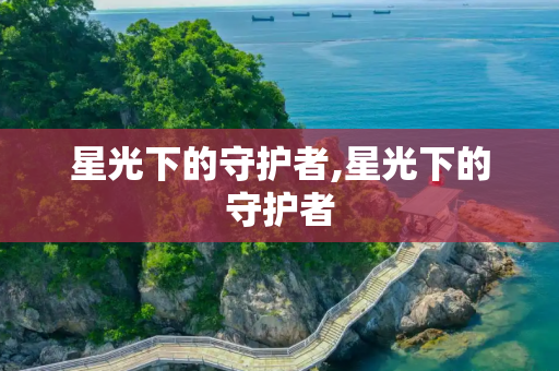 星光下的守护者,星光下的守护者