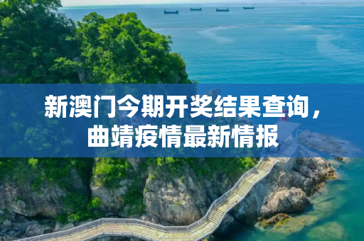 新澳门今期开奖结果查询，曲靖疫情最新情报